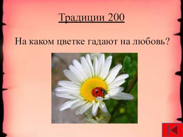 Традиции 200 На каком цветке гадают на любовь?