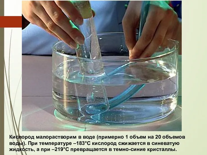 Кислород малорастворим в воде (примерно 1 объем на 20 объемов