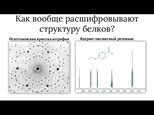 Как вообще расшифровывают структуру белков? Рентгеновская кристаллография Ядерно-магнитный резонанс