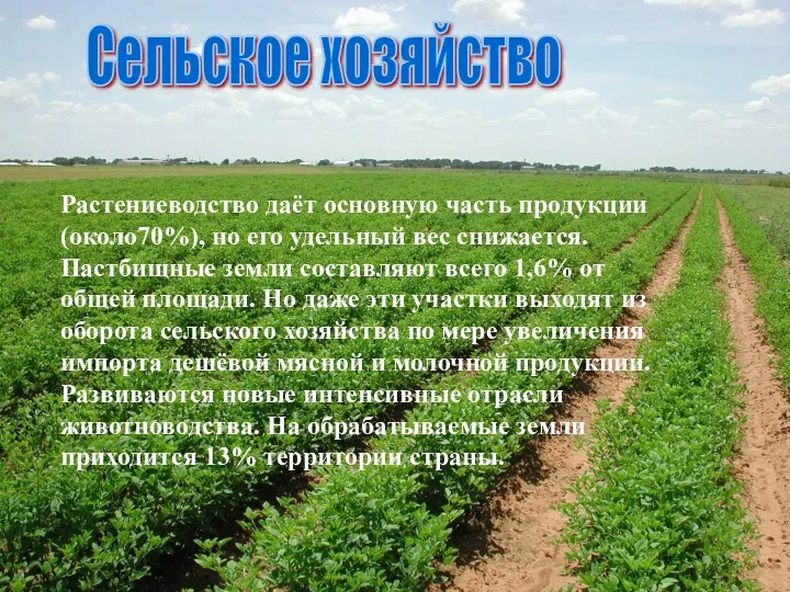 Сельское хозяйство Растениеводство даёт основную часть продукции (около70%), но его