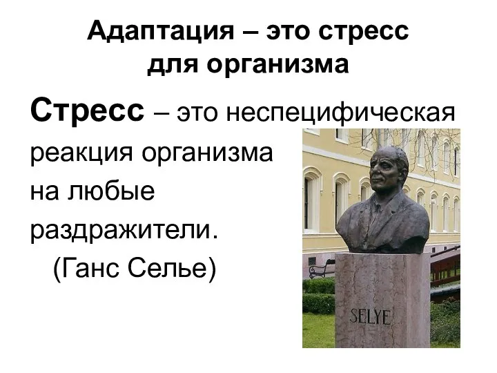 Адаптация – это стресс для организма Стресс – это неспецифическая