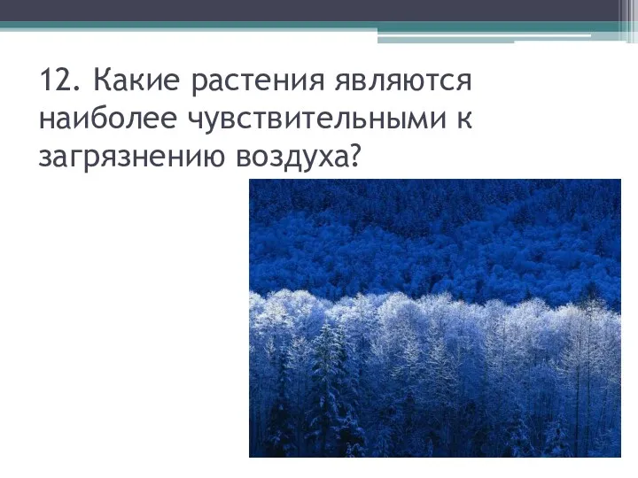 12. Какие растения являются наиболее чувствительными к загрязнению воздуха?