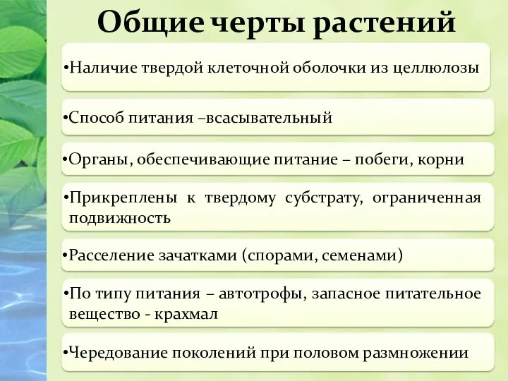 Общие черты растений Наличие твердой клеточной оболочки из целлюлозы Способ