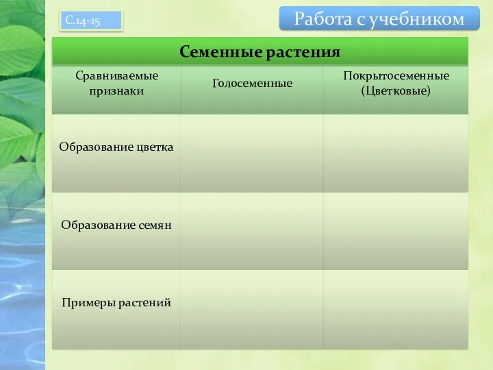 Голосеменные Покрытосеменные (Цветковые) Сравниваемые признаки Образование цветка Образование семян Примеры