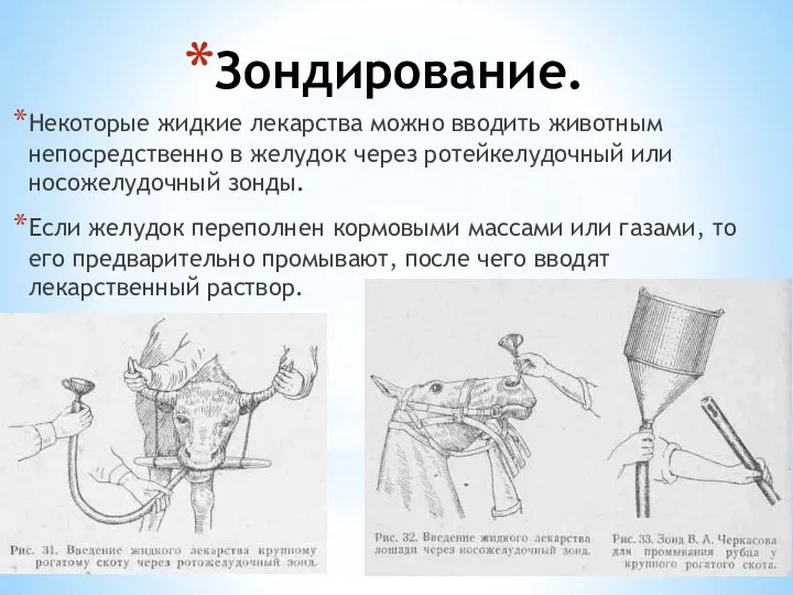 Зондирование. Некоторые жидкие лекарства можно вводить животным непосредственно в желудок