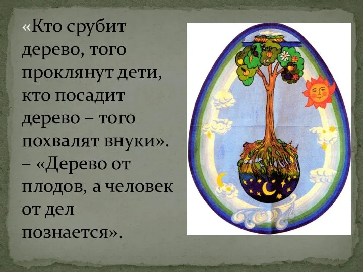 «Кто срубит дерево, того проклянут дети, кто посадит дерево –