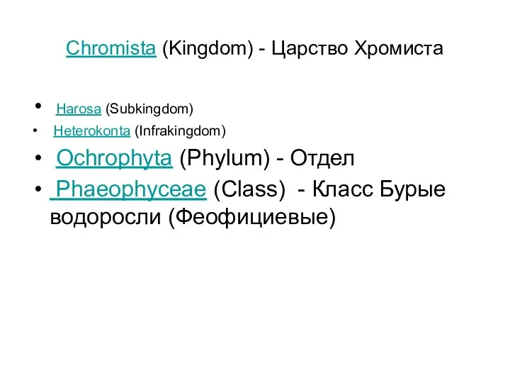 Chromista (Kingdom) - Царство Хромиста Harosa (Subkingdom) Heterokonta (Infrakingdom) Ochrophyta (Phylum) - Отдел