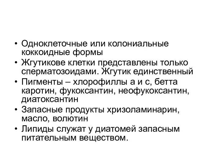 Одноклеточные или колониальные коккоидные формы Жгутикове клетки представлены только сперматозоидами. Жгутик единственный Пигменты