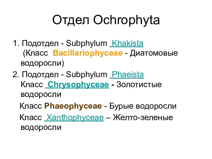 Отдел Ochrophyta 1. Подотдел - Subphylum Khakista (Класс Bacillariophyceae - Диатомовые водоросли) 2.