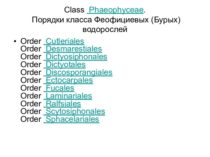 Class Phaeophyceae. Порядки класса Феофициевых (Бурых) водорослей Order Cutleriales Order Desmarestiales Order Dictyosiphonales