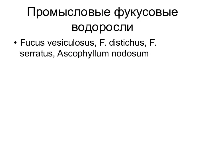 Промысловые фукусовые водоросли Fucus vesiculosus, F. distichus, F. serratus, Ascophyllum nodosum