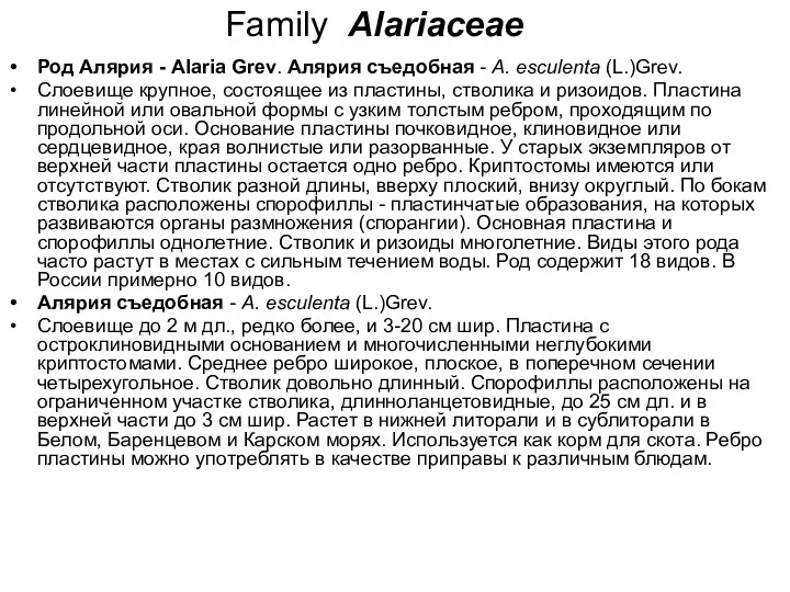 Family Alariaceae Род Алярия - Alaria Grev. Алярия съедобная - A. esculenta (L.)Grev.