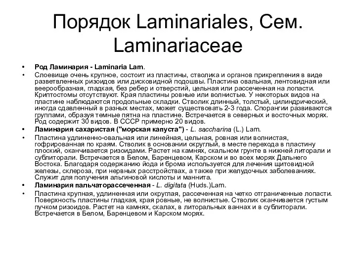 Порядок Laminariales, Сем. Laminariaceae Род Ламинария - Laminaria Lam. Слоевище очень крупное, состоит