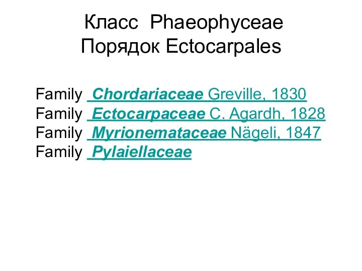 Класс Phaeophyceae Порядок Ectocarpales Family Chordariaceae Greville, 1830 Family Ectocarpaceae C. Agardh, 1828