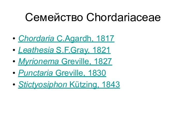Семейство Chordariaceae Chordaria C.Agardh, 1817 Leathesia S.F.Gray, 1821 Myrionema Greville, 1827 Punctaria Greville,