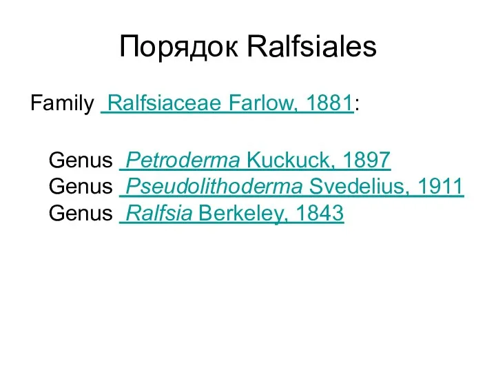 Порядок Ralfsiales Family Ralfsiaceae Farlow, 1881: Genus Petroderma Kuckuck, 1897 Genus Pseudolithoderma Svedelius,