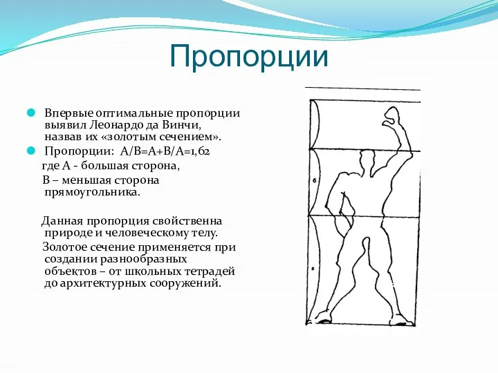 Пропорции Впервые оптимальные пропорции выявил Леонардо да Винчи, назвав их