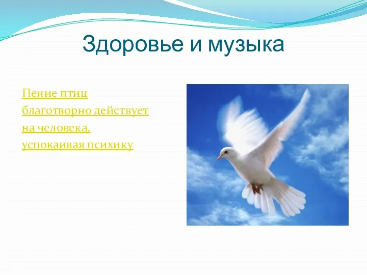 Здоровье и музыка Пение птиц благотворно действует на человека, успокаивая психику