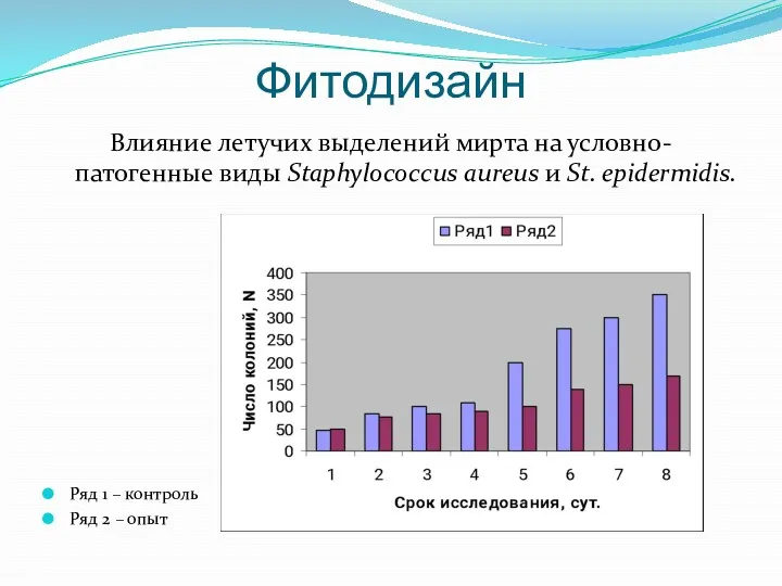 Фитодизайн Влияние летучих выделений мирта на условно-патогенные виды Staphylococcus aureus