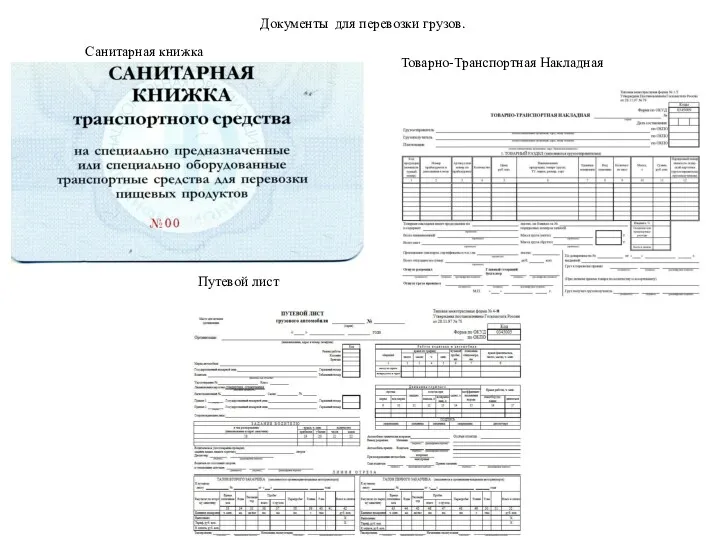 Документы для перевозки грузов. Товарно-Транспортная Накладная Санитарная книжка Путевой лист