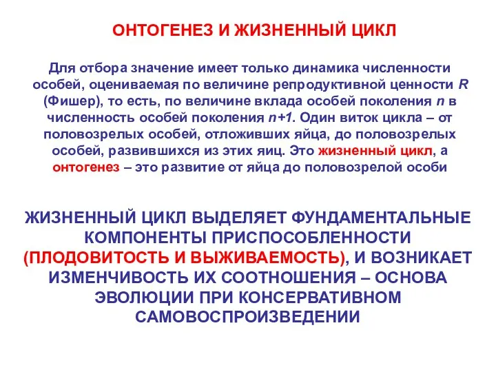 ОНТОГЕНЕЗ И ЖИЗНЕННЫЙ ЦИКЛ Для отбора значение имеет только динамика численности особей, оцениваемая