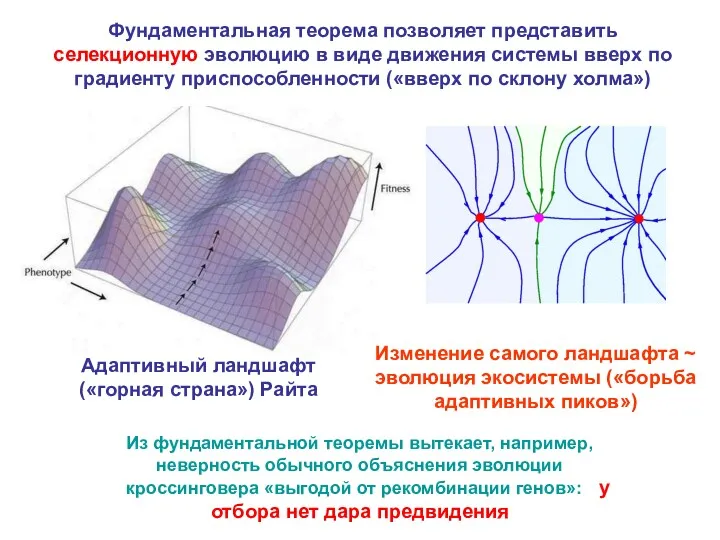 Адаптивный ландшафт («горная страна») Райта Изменение самого ландшафта ~ эволюция экосистемы («борьба адаптивных