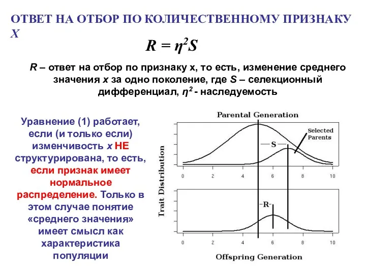 ОТВЕТ НА ОТБОР ПО КОЛИЧЕСТВЕННОМУ ПРИЗНАКУ X R = η2S R – ответ