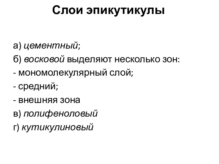 Слои эпикутикулы а) цементный; б) восковой выделяют несколько зон: -