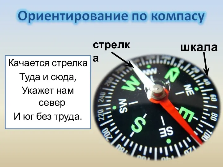 Качается стрелка Туда и сюда, Укажет нам север И юг без труда. шкала стрелка