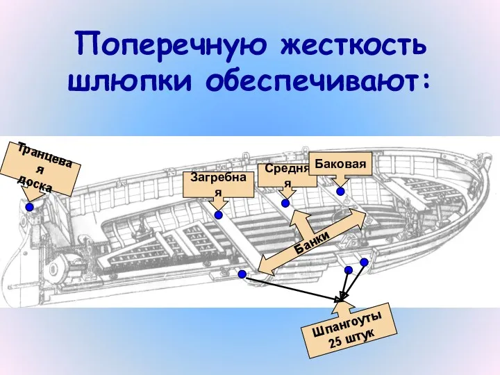 Транцевая доска Шпангоуты 25 штук Загребная Средняя Баковая Поперечную жесткость шлюпки обеспечивают: Банки