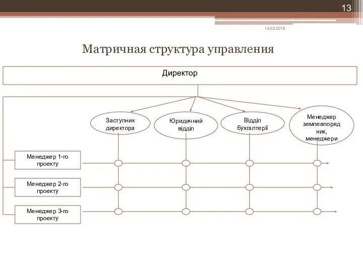 Матричная структура управления 14.02.2019