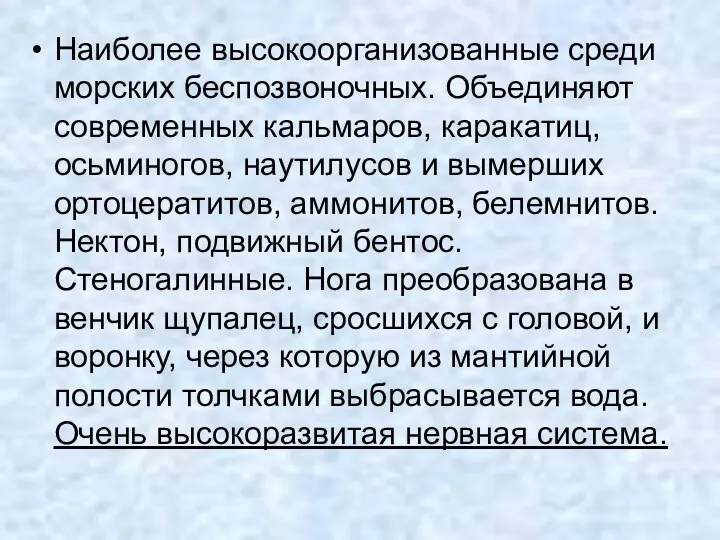 Наиболее высокоорганизованные среди морских беспозвоночных. Объединяют современных кальмаров, каракатиц, осьминогов,