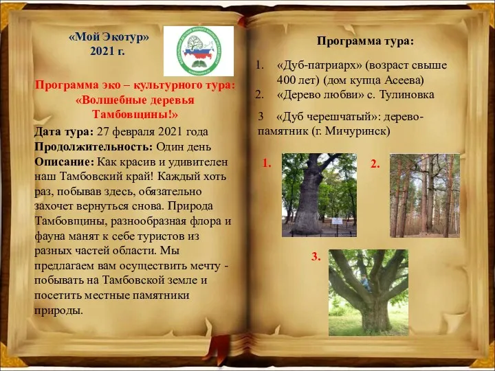 «Мой Экотур» 2021 г. Программа эко – культурного тура: «Волшебные деревья Тамбовщины!» Программа