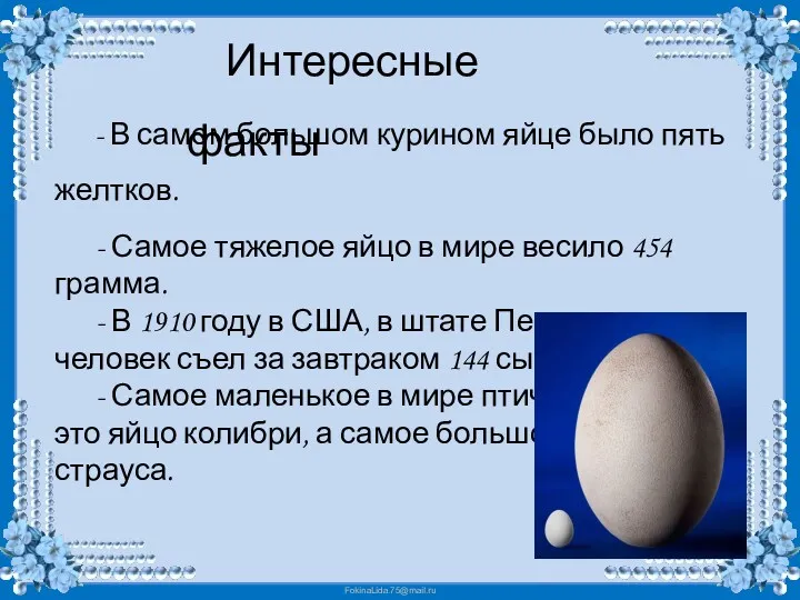 Интересные факты - В самом большом курином яйце было пять