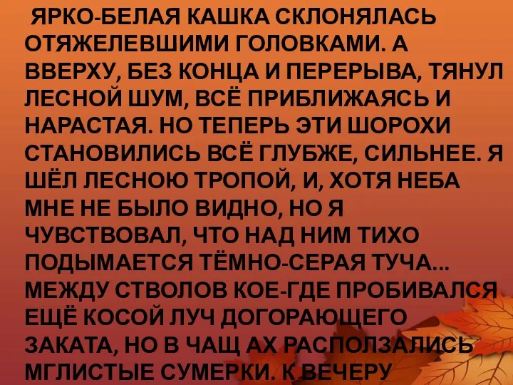 ЯРКО-БЕЛАЯ КАШКА СКЛОНЯЛАСЬ ОТЯЖЕЛЕВШИМИ ГОЛОВКАМИ. А ВВЕРХУ, БЕЗ КОНЦА И