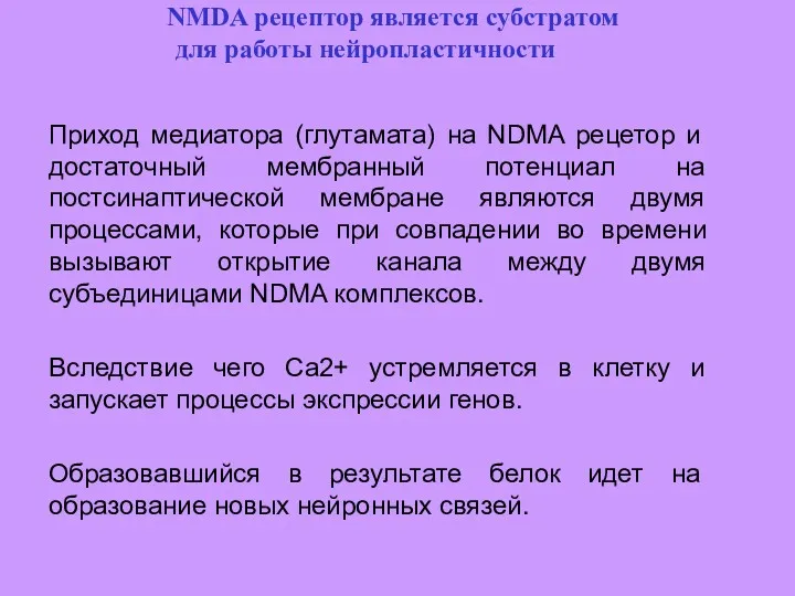 NMDA рецептор является субстратом для работы нейропластичности Приход медиатора (глутамата)