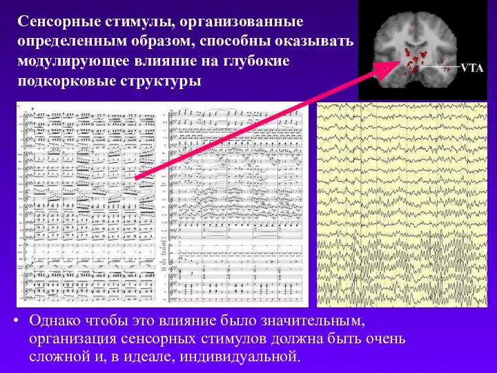 Сенсорные стимулы, организованные определенным образом, способны оказывать модулирующее влияние на