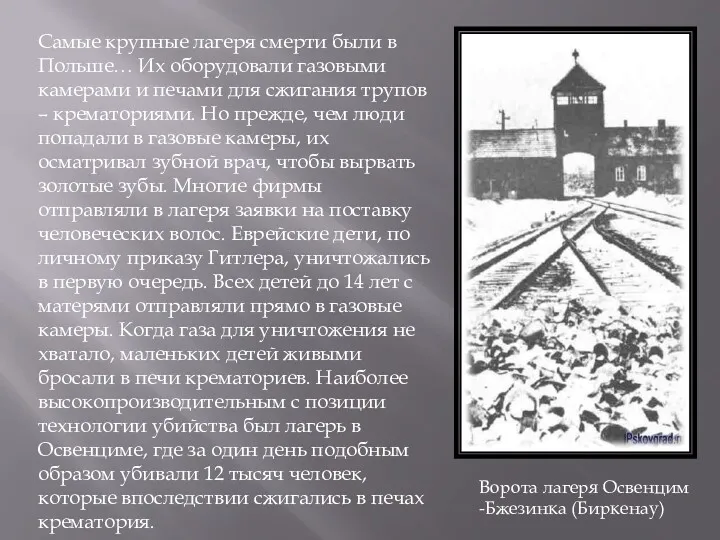 Ворота лагеря Освенцим -Бжезинка (Биркенау) Самые крупные лагеря смерти были