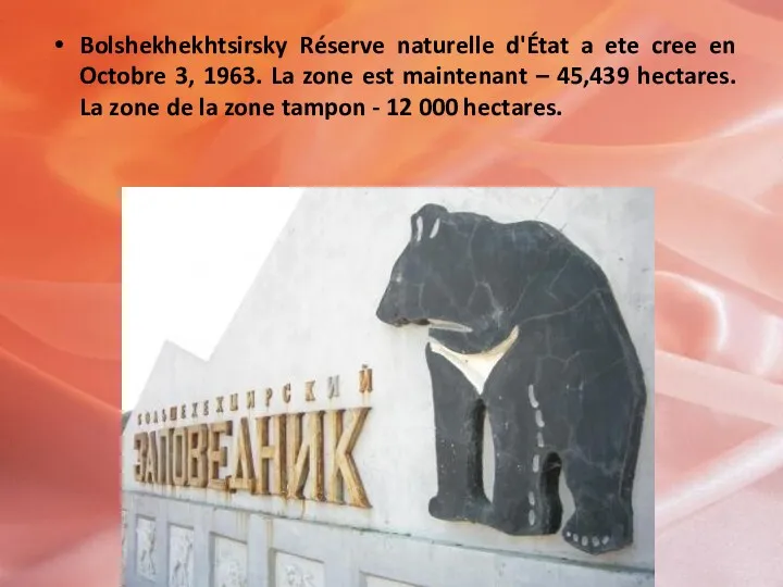 Bolshekhekhtsirsky Réserve naturelle d'État a ete cree en Octobre 3,