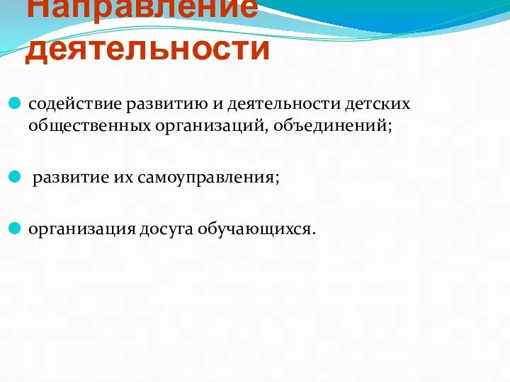 Направление деятельности содействие развитию и деятельности детских общественных организаций, объединений; развитие их самоуправления; организация досуга обучающихся.