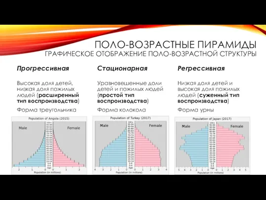 ПОЛО-ВОЗРАСТНЫЕ ПИРАМИДЫ ГРАФИЧЕСКОЕ ОТОБРАЖЕНИЕ ПОЛО-ВОЗРАСТНОЙ СТРУКТУРЫ Прогрессивная Высокая доля детей,