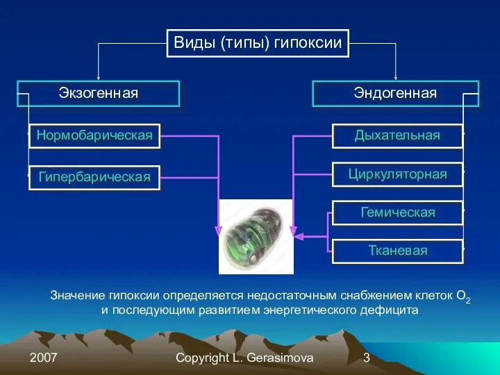 2007 Copyright L. Gerasimova Виды (типы) гипоксии Экзогенная Эндогенная Нормобарическая