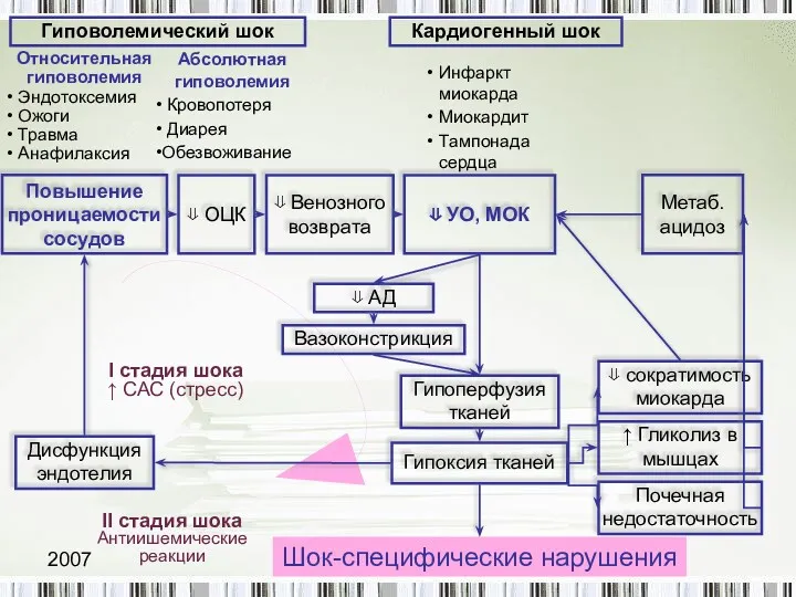 2007 Copyright L. Gerasimova Шок-специфические нарушения Гиповолемический шок Относительная гиповолемия