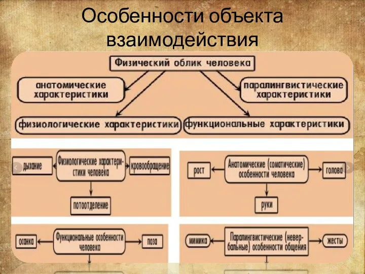 Особенности объекта взаимодействия