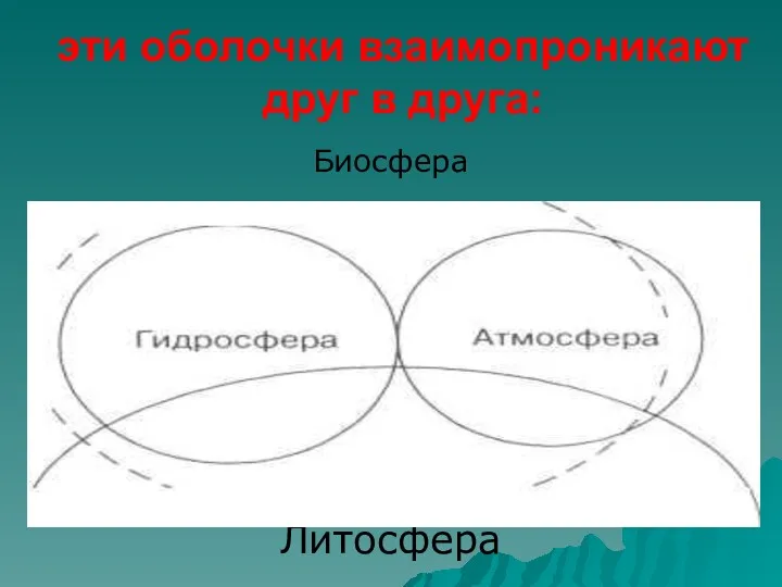 эти оболочки взаимопроникают друг в друга: Биосфера Литосфера