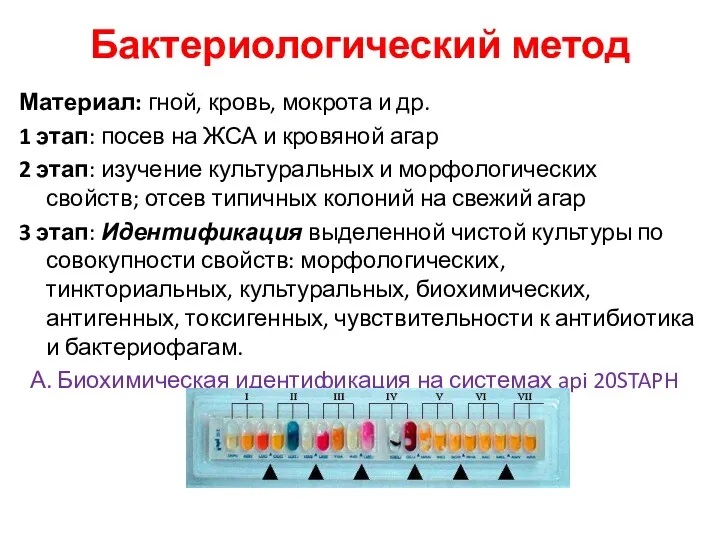 Бактериологический метод Материал: гной, кровь, мокрота и др. 1 этап: