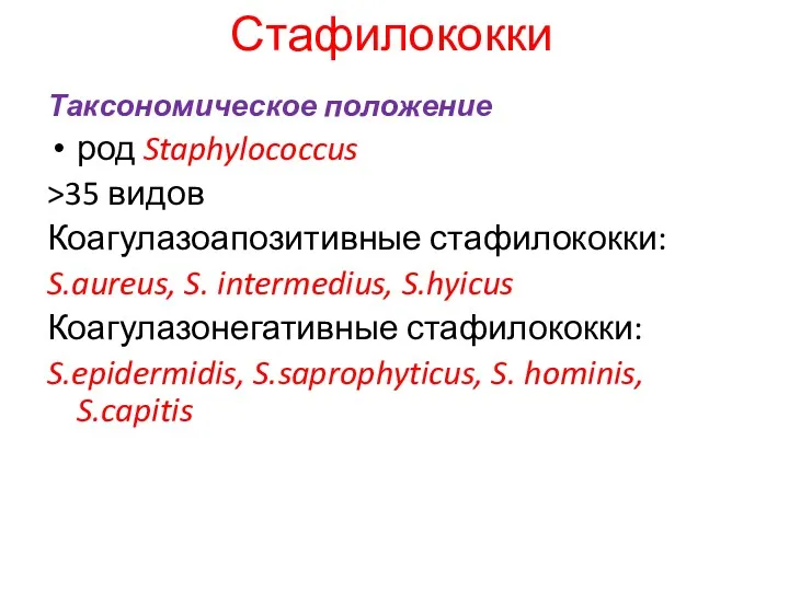 Стафилококки Таксономическое положение род Staphylococcus >35 видов Коагулазоапозитивные стафилококки: S.aureus,