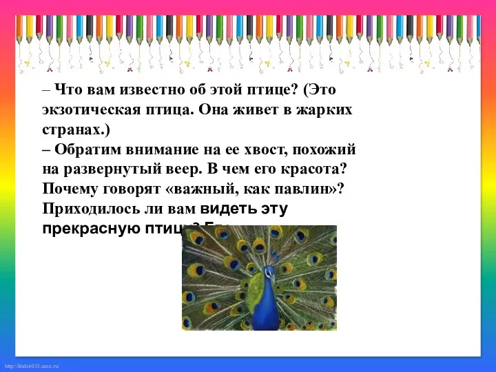 – Что вам известно об этой птице? (Это экзотическая птица.