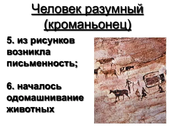 Человек разумный (кроманьонец) 5. из рисунков возникла письменность; 6. началось одомашнивание животных