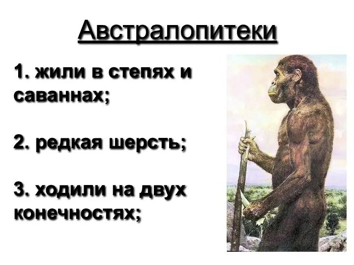 Австралопитеки 1. жили в степях и саваннах; 2. редкая шерсть; 3. ходили на двух конечностях;